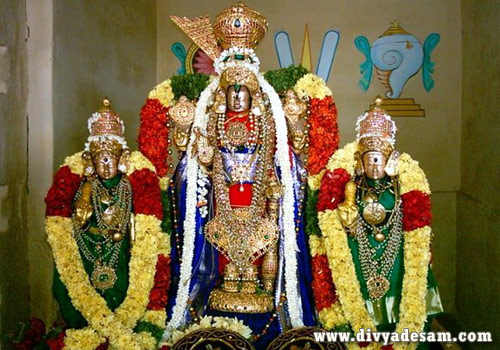 Melkote Tirunarayanapuram, Chellappillai Sampathkumar
