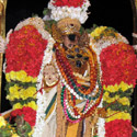 Sri Ranganathar, Srirangam - Pavithra Utsavam