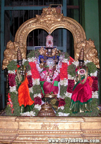 Sri Sowmya Dhamodara Perumal
