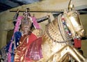 Thiru Mangai Alwar in his horse - Aadal Maa during Vedupari Utsavam