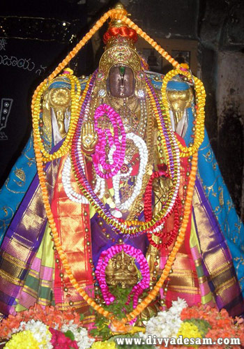 Sri Chellappillai, Melkote, Tirunarayanapuram, Pavithra Utsavam