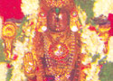 Sri Selvappillai, Melukot, Tirunarayanpuram