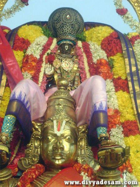 Sri Parthasarathy Temple - Garuda Sevai