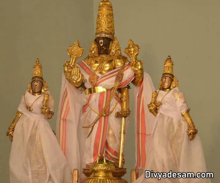 Sri Parthasarathy Swamy Utsavar, திருவல்லிக்கேணி பார்த்தசாரதி கோயில்