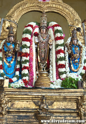 Sri Azhagiyasingar - Triplicane Divyadesam