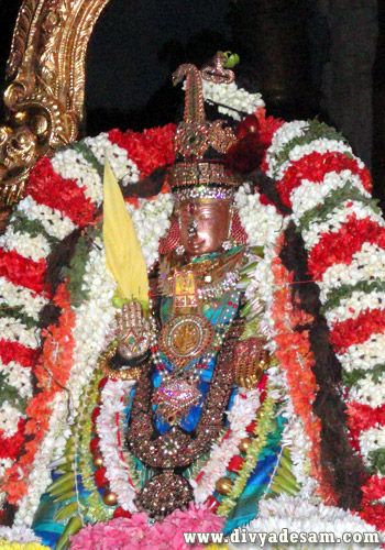 Sri Perundevi Thayar - Kanchipuram Temple