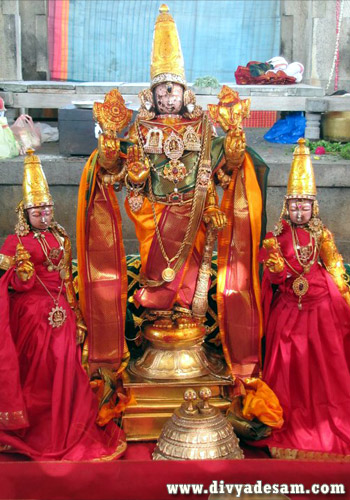 Sri Vardharaja Perumal - Kanchipuram Divyadesam