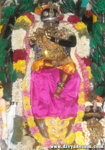 Sri Parthasarathy Temple - Chennai Divyadesam