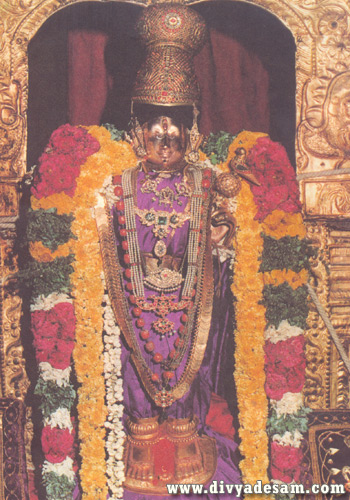 Sri Andal - Srivilliputhur Temple