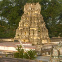 Tiruvaheendrapuram Temple
