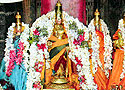 Sri Aadhinatha Swamy and Thaayars, Thirukkurugoor, Azhwar Thirunagari
