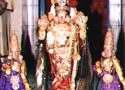 Sri Varadharajar, Kanchipuram Temple